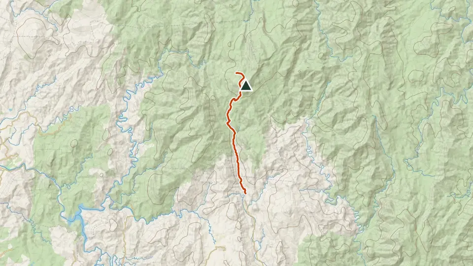 Topographic map of Mt. Irid with its mapped routes in orange and the summit marked